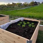 Apartmán Hiska Mirna Ravnica *