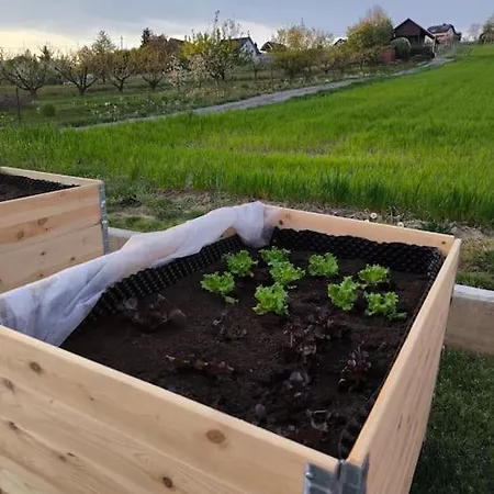 Apartma Hiska Mirna Ravnica *