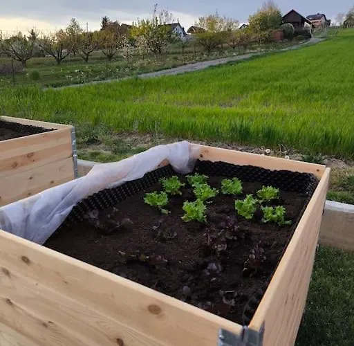 アパート Hiska Mirna Ravnica *